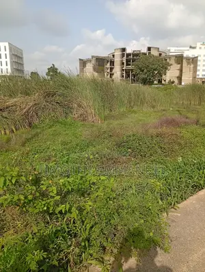 2000 Square Meters C of O Asokoro