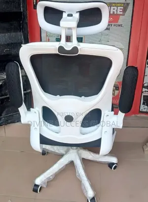 Executive Orthopedic Ergonomic Office Chair