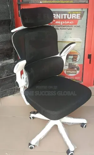 Executive Orthopedic Ergonomic Office Chair