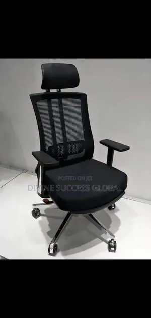 Senior Executive Office Ergonomic Chair