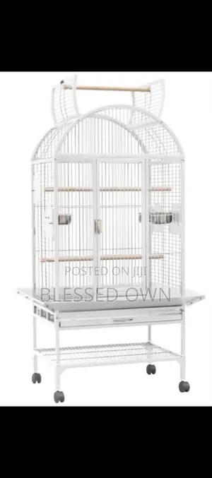 Foreign Standard Parrots Bird Cage