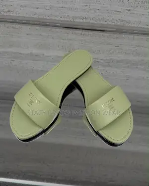 Celine Slippers Comes With Branded Box