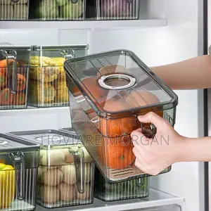Acrylic Vegetable Storage With Handle