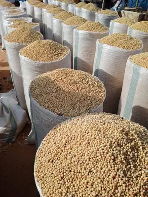Premium Quality Soybeans for Sale – Bulk Supply Available in Tonnes