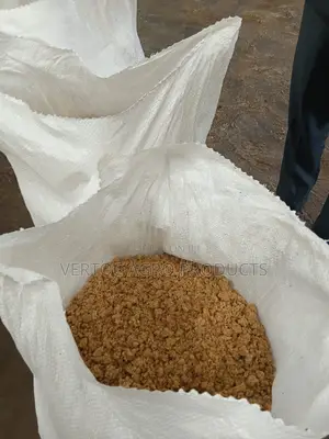 Premium Quality Soybeans for Sale – Bulk Supply Available in Tonnes