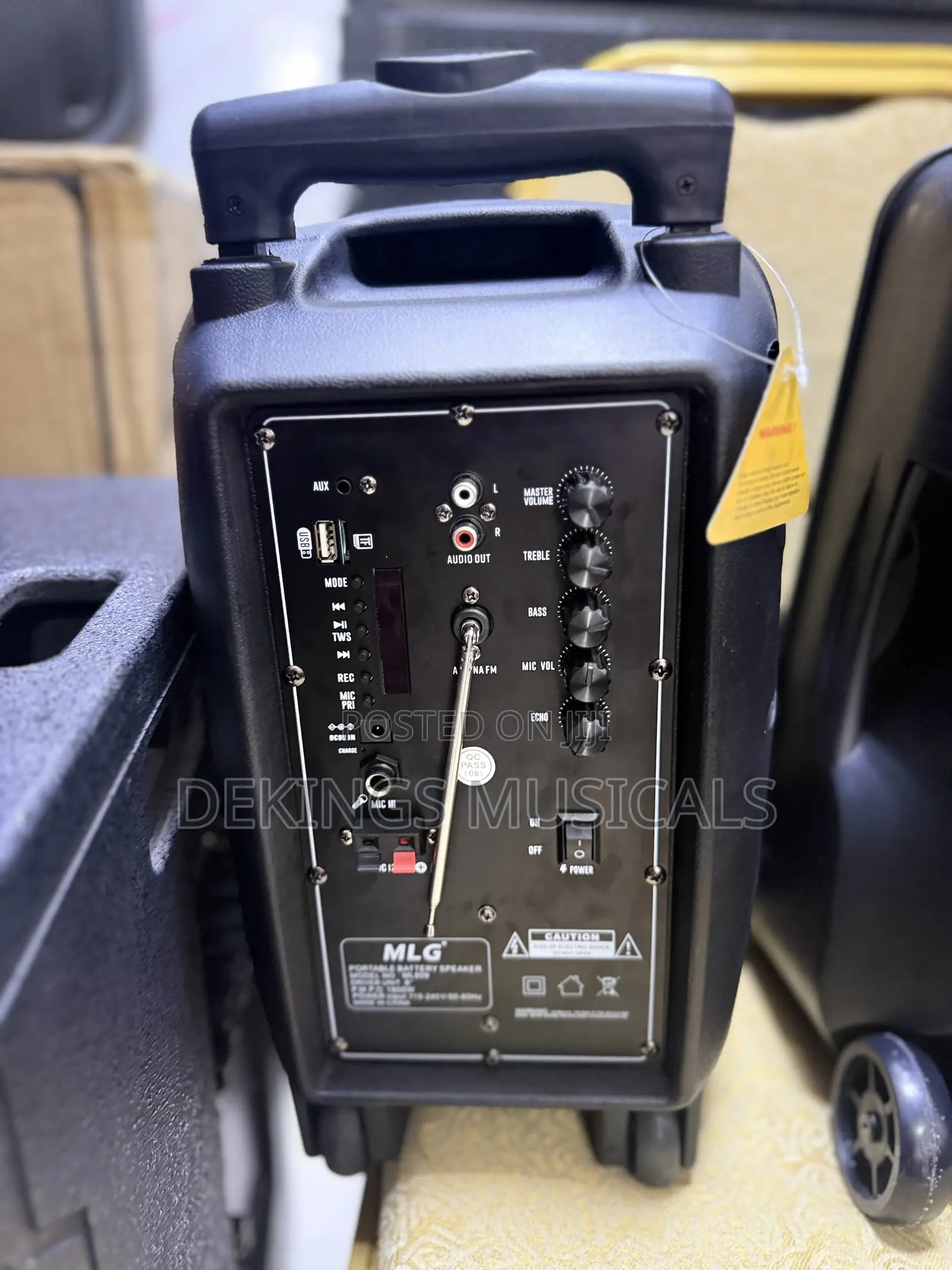 MLG 8 Inches PA Speaker System