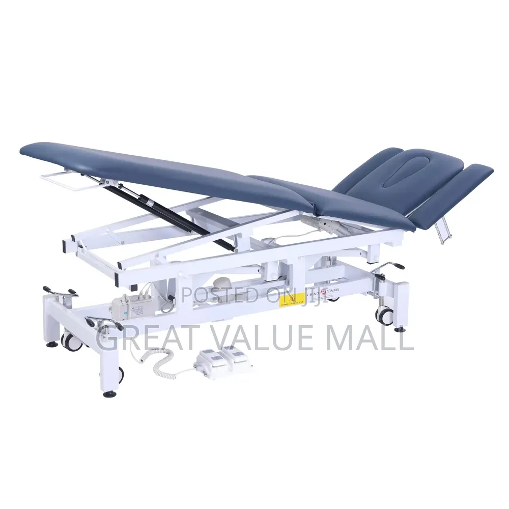 Beauty Spa Electric Bed