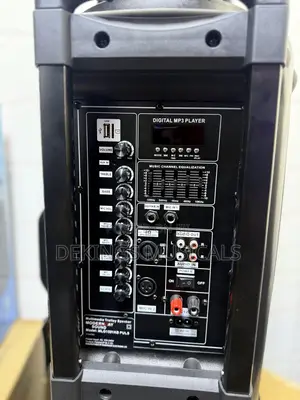Modern Day PA Speaker System