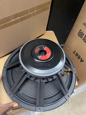 15 Inches Naked Speaker