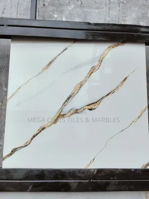 Different of 60x60 Floor and Wall Tiles.