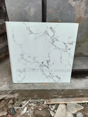Different of 60x60 Floor and Wall Tiles.
