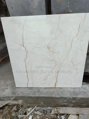 Different of 60x60 Floor and Wall Tiles.