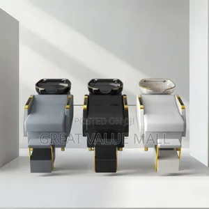 Professional Hair Wash Station