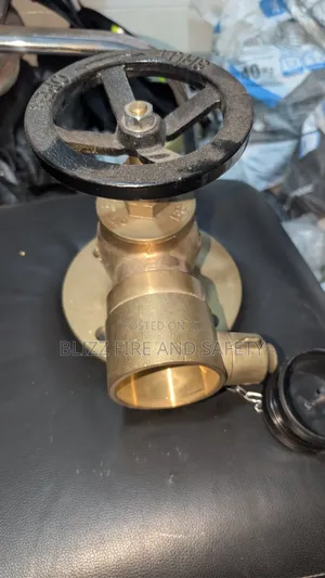 Brass Landing Valve