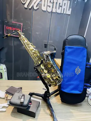Henri Selmer Professional Alto Saxophone