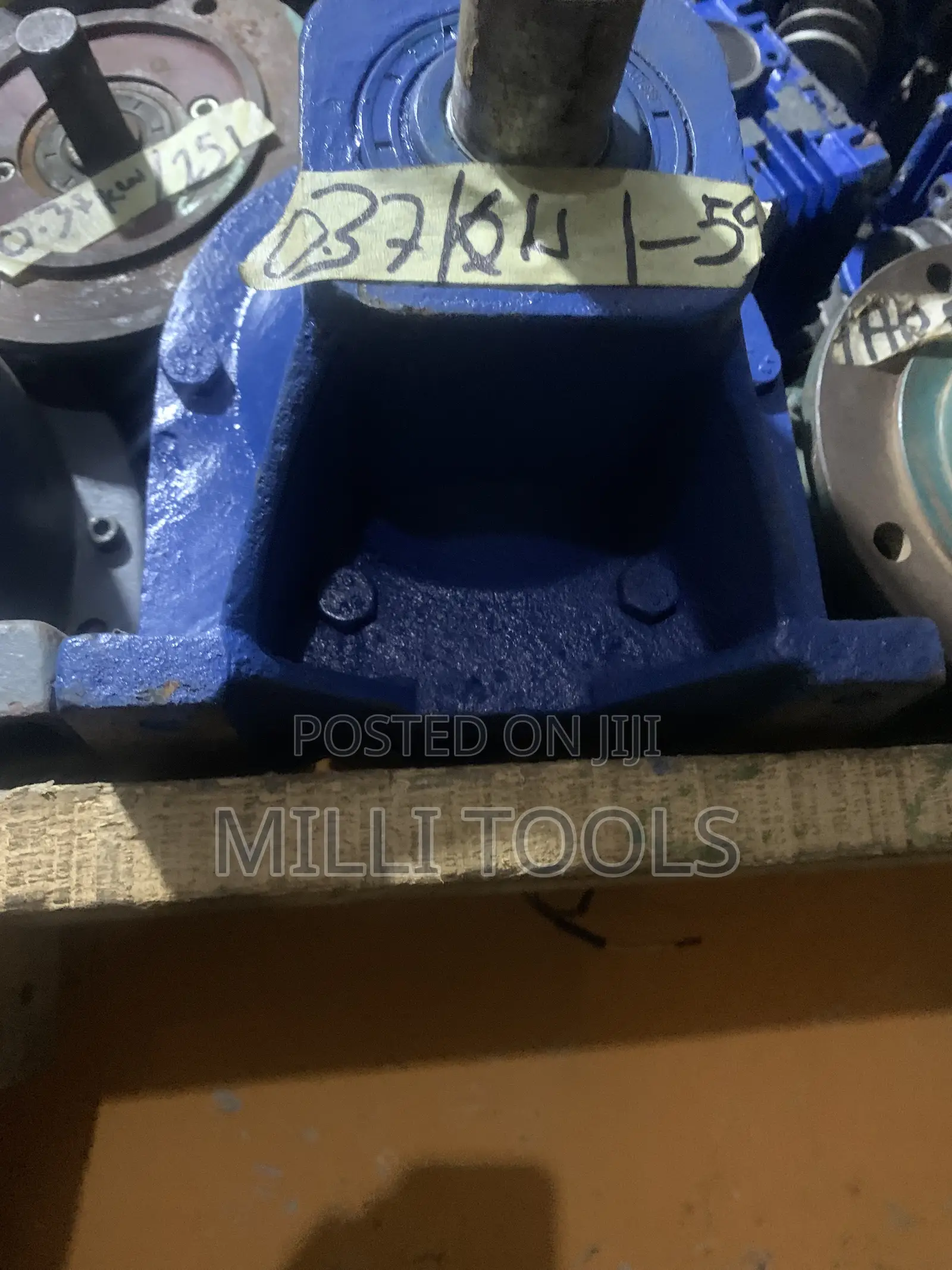 Gear Motor