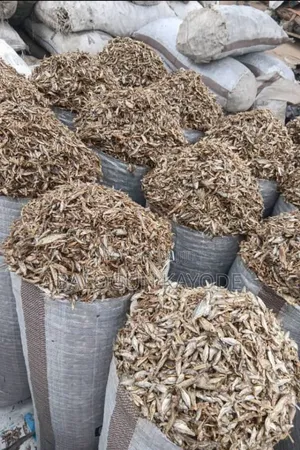 Fish Feed Materials