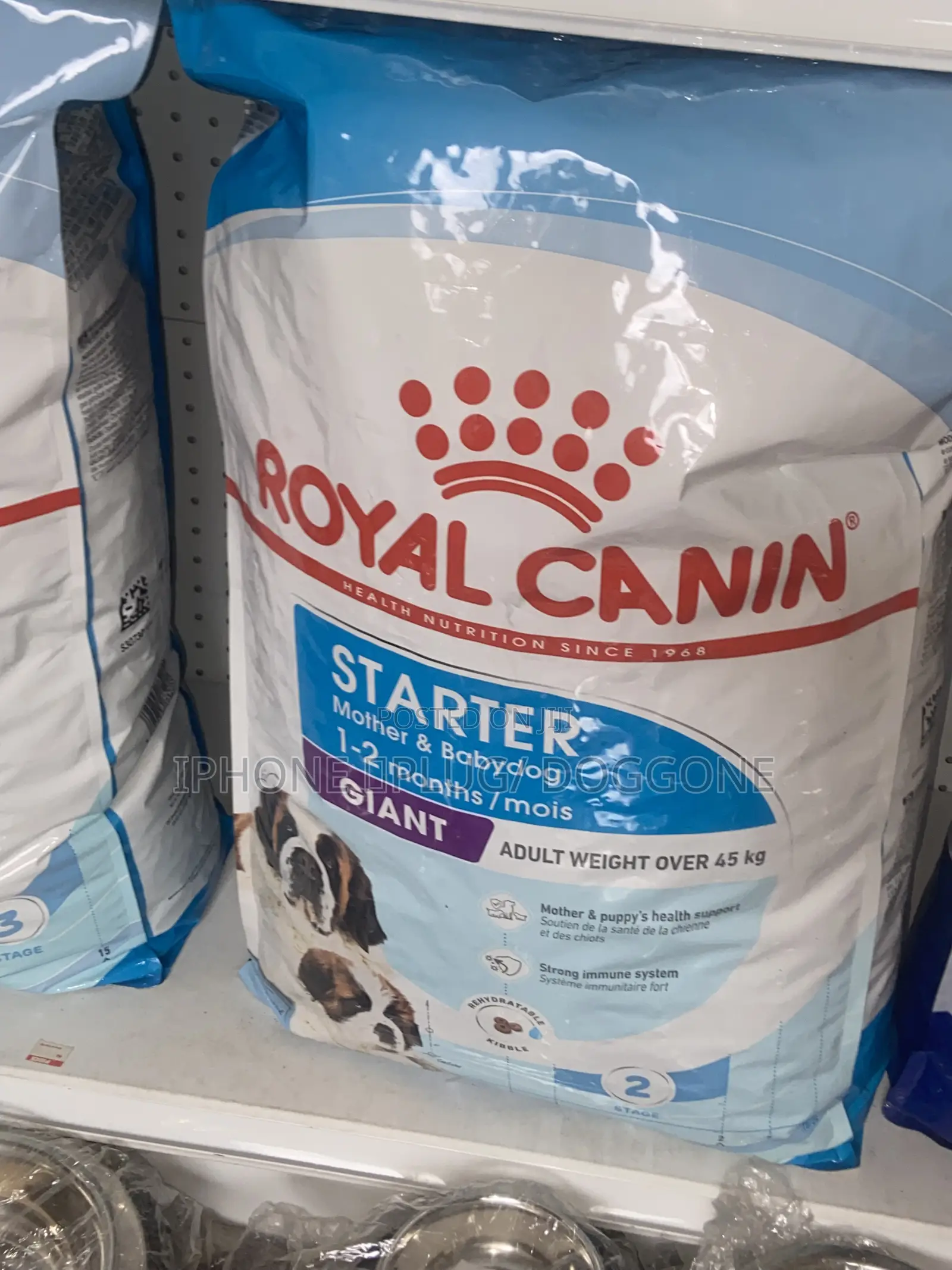 Royal Canine Giant Starter