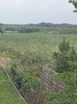 Affordable Dry Land for Sale at Chuvie Garden Estate Akodo Ibeju-Lekki