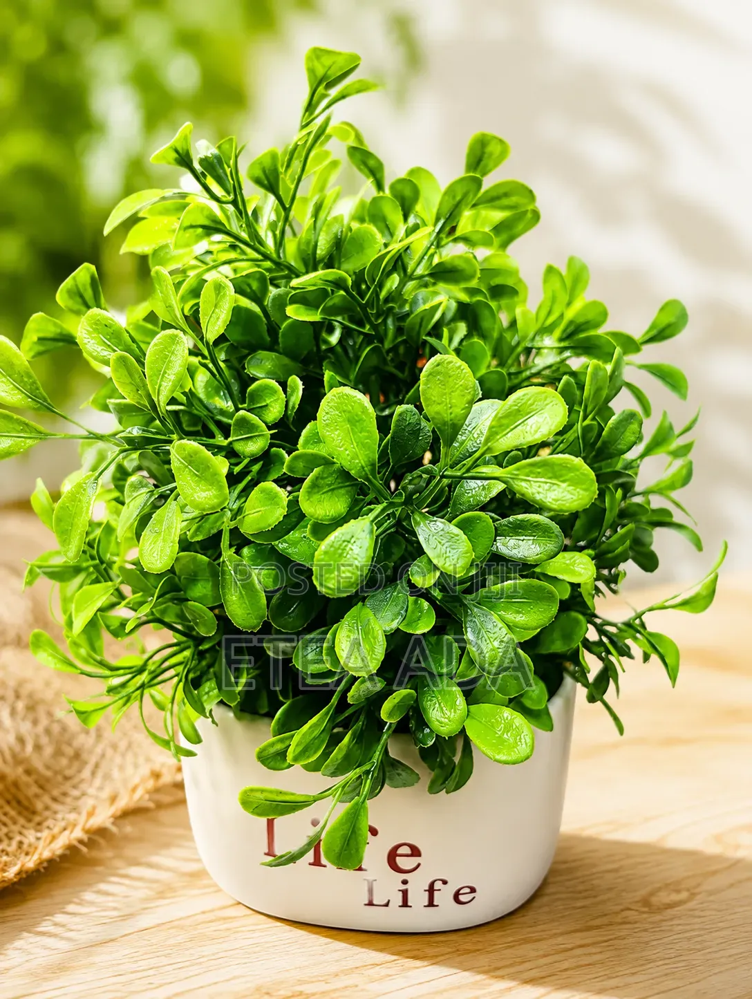 Decor Flowers