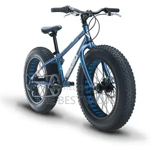 Big Tyre Bicycle – Conquer Every Road With Confidence