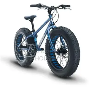 Big Tyre Bicycle – Conquer Every Road With Confidence