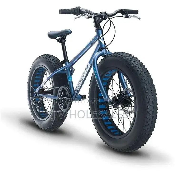 Big Tyre Bicycle – Conquer Every Road With Confidence