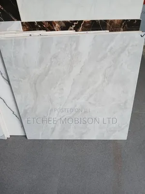 60*60 Tiles Very Affordable