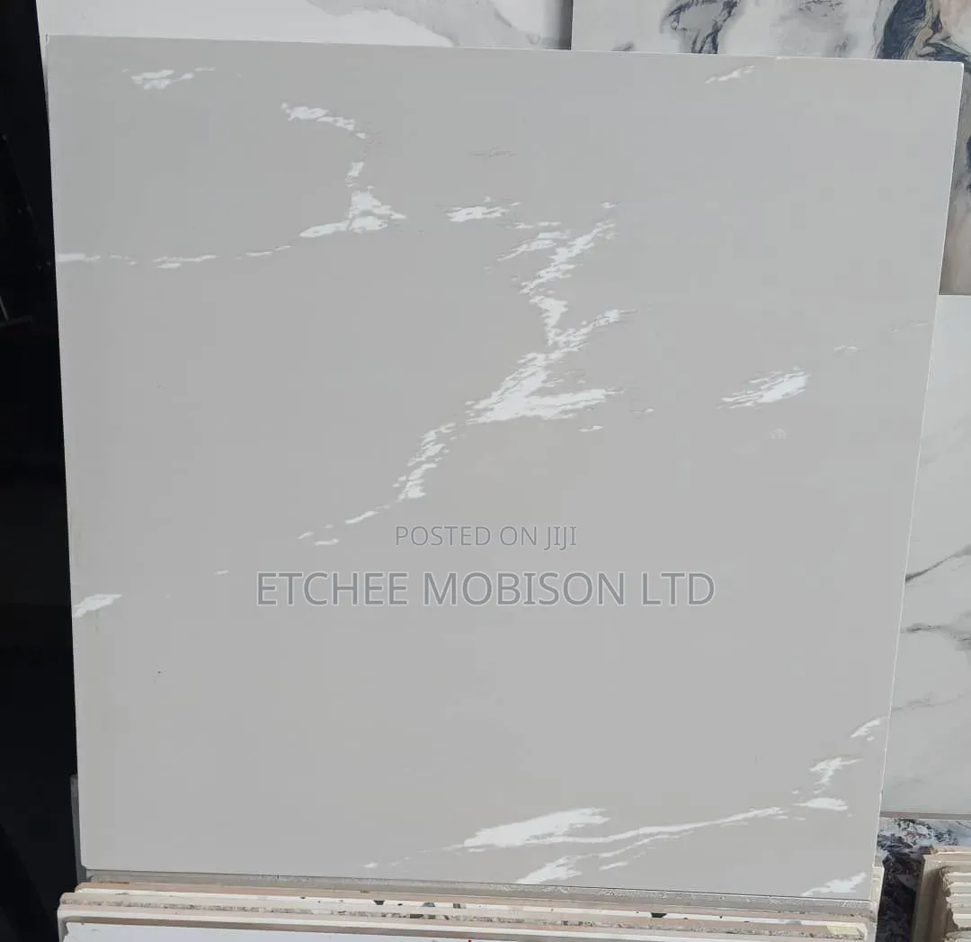 60*60 Tiles Very Affordable