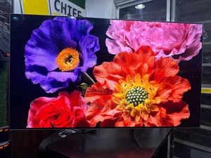 55" Samsung Oled Display Smart TV 2024 Edition