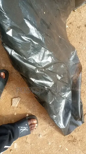 Thick Leather or Nylon 100kg
