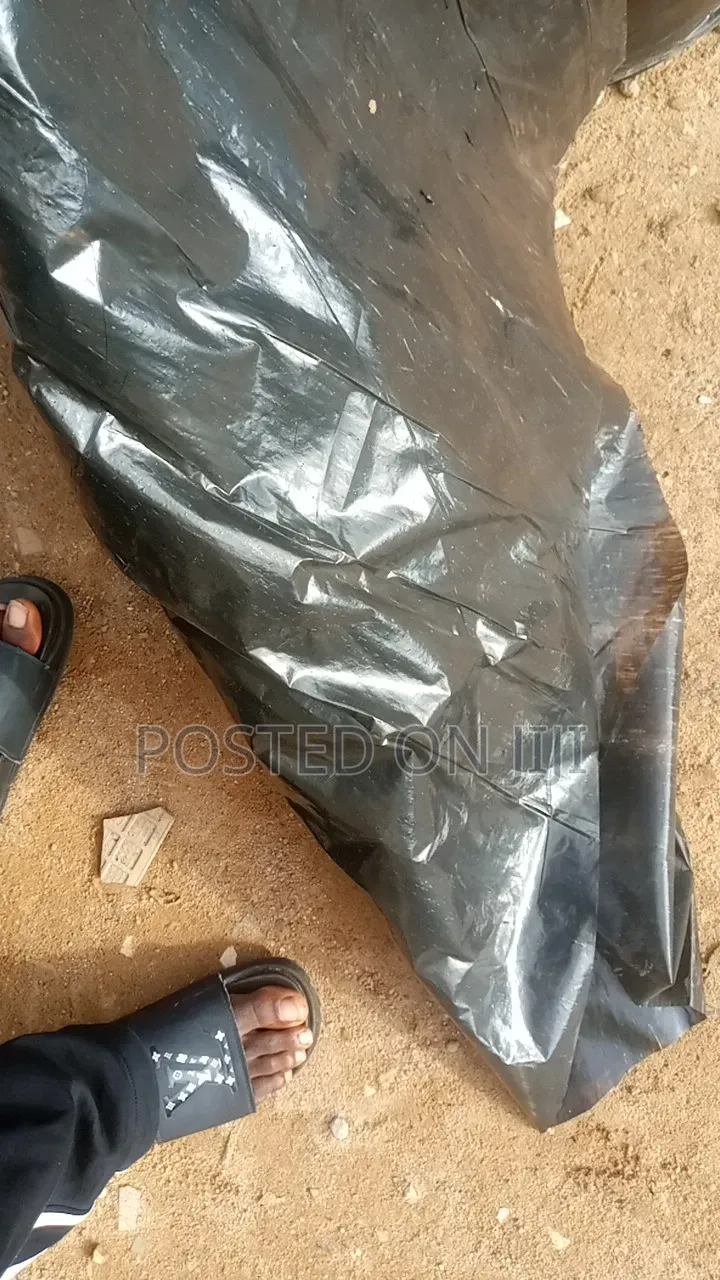 Thick Leather or Nylon 100kg