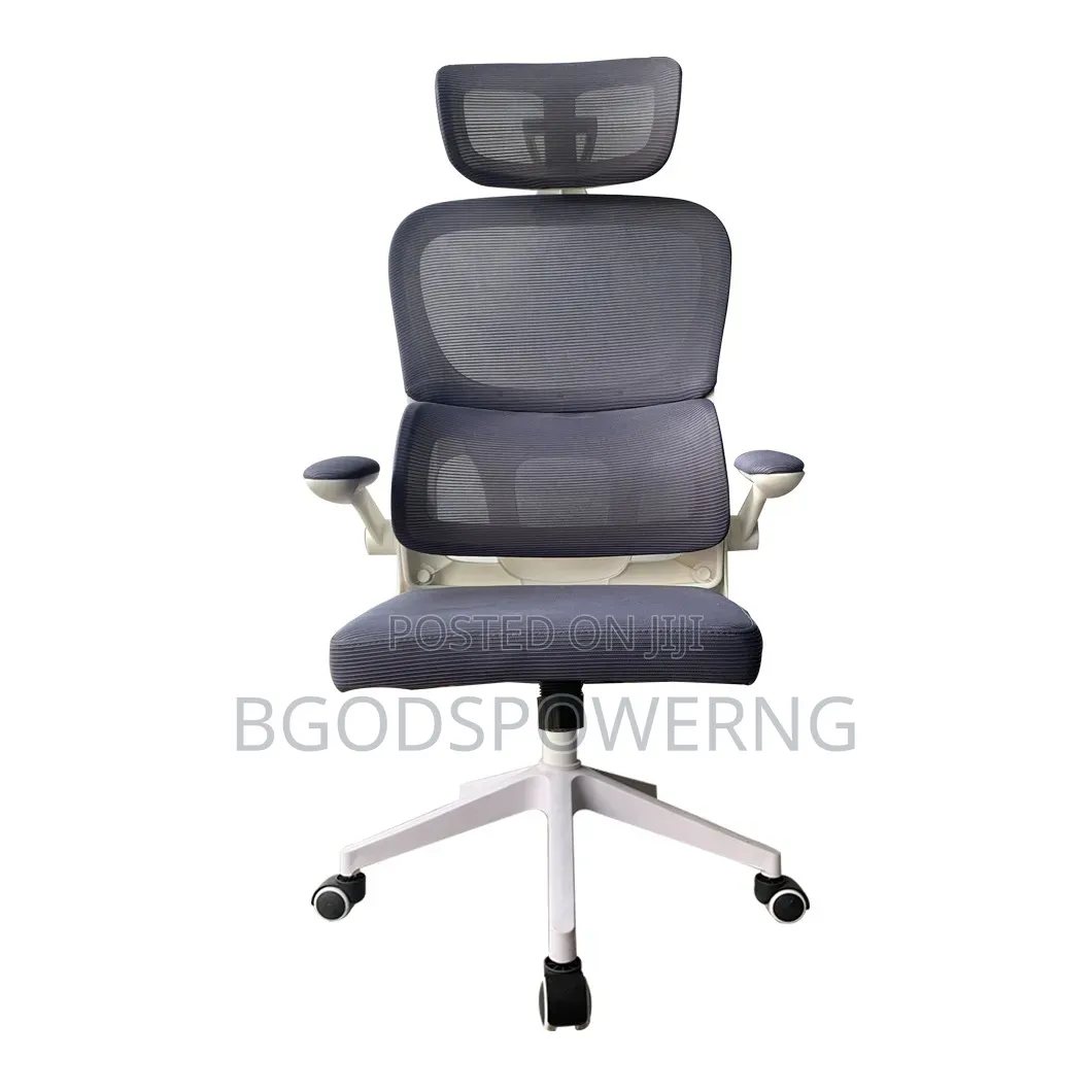 Ergonomic Office Chair