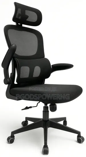 Ergonomic Office Chair