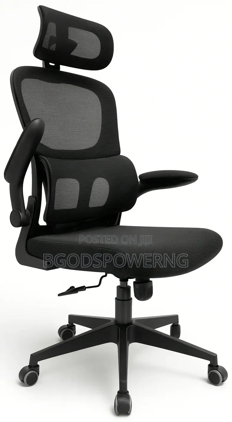 Ergonomic Office Chair