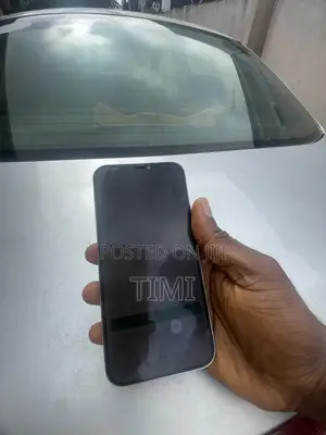 Apple iPhone 12 Pro Max 256 GB White