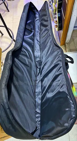 Professional Padded Guitar Bag