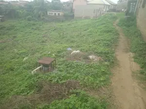 A Full Plot of Land