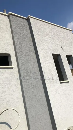 Professional Gravitex Wall Finishing