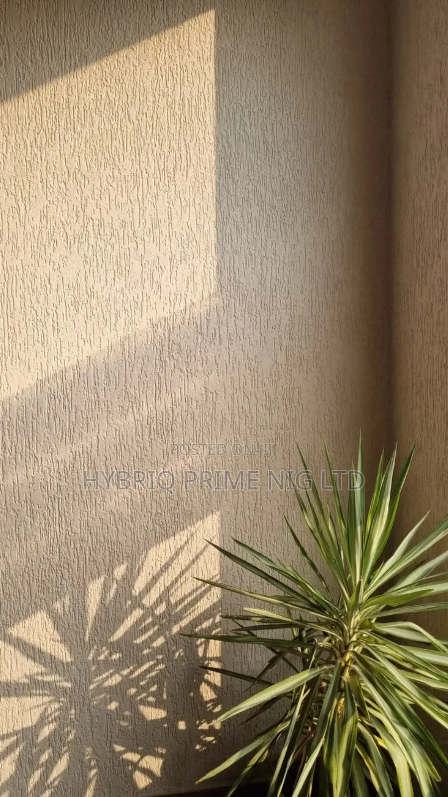 Premium Gravitex Texture Wall Design