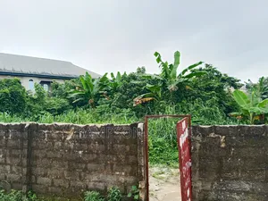 Two Plot of Land for Sale at Sars Road Off Rumuoghalu