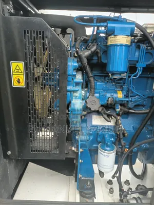 F.g Wilson 33kva Ecoplus