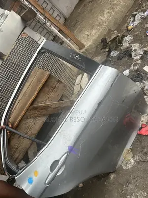 Back Left Door Camry 2018