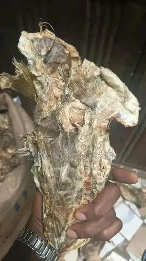 Stock FISH (Okporoko)