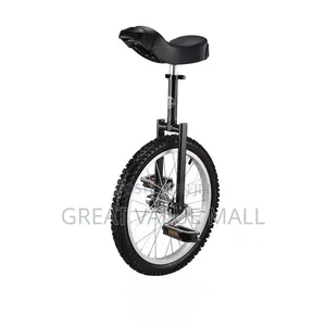Sports Unicycle