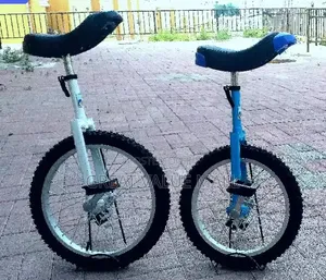 Sports Unicycle