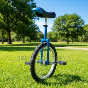 One Wheel Unicycle