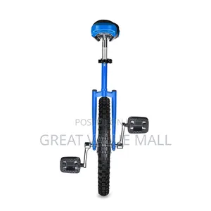 Training Unicycle