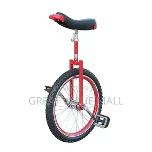 Kids Unicycle Exercise Bike