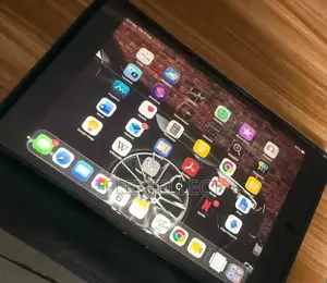 Apple iPad mini 5 64 GB Gray